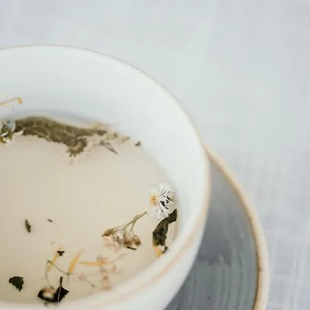 Titscherhof * Leutschach