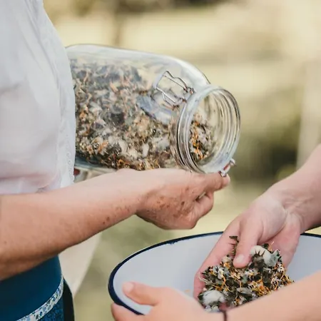 Titscherhof Leutschach