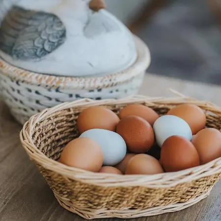 Titscherhof Δωμάτια σε οικογενειακή κατοικία