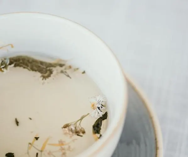 Titscherhof * Leutschach