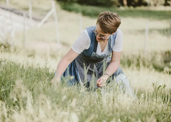 Titscherhof Homestay szállás *