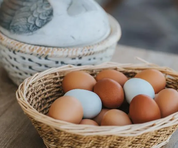 Titscherhof Homestay szállás