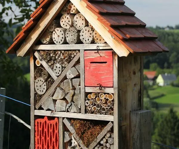 Titscherhof Homestay szállás
